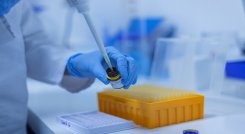 Laboratorio