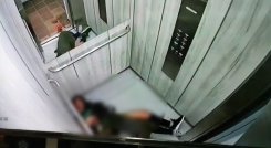 Perro Pitbull atacó a su dueña en Prados del Este. 