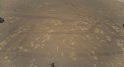 El planeta Marte sale de su silencio./Foto: archivo