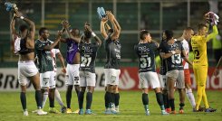 Deportivo Cali, Copa Libertadores. 