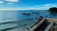 ¿Qué pasó con el predilecto destino a Isla de Margarita?