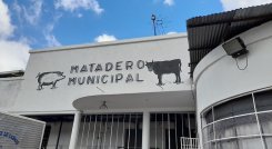 Matadero de San Cristóbal cada vez recibe menos ganado para el sacrificio. Foto Anggy Polanco / La Opinión 