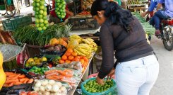 Producción de frutas y verduras 