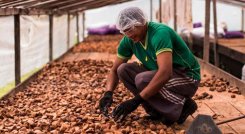 Natura lanza su IP&L