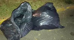 Abandonaron en bolsas negras a una persona desmembrada./Foto: referencia - internet