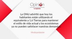 Medioambiente