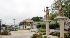 Adulto mayor de 74 años podría enfrentar cargos por pornografía infantil