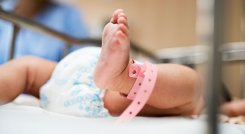 ¿Qué pasa si se come la placenta después del parto?