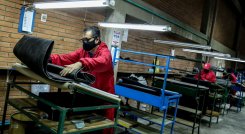 Sector Calzado en Cúcuta 