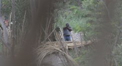 Conozca las bandas criminales que  operan en Venezuela y la frontera