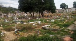 El Cementerio Central de Cúcuta sigue poniendo en apuros al alcalde Jairo Yáñez./Foto cortesía