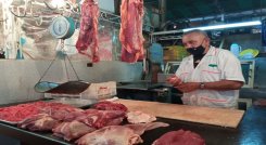 Asociación de Ganaderos del Táchira alerta por baja del precio de la carne a puerta de corral. Fotos Anggy Polanco / La Opinión.