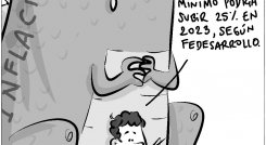 Expectativa / Realidad