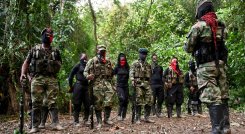 El Eln ha alcanzado una importante presencia en Venezuela, pero el gobierno vecino aún no lo reconoce./Foto archivo