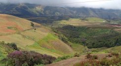 Por los confines de las cadenas montañosas de Uribante y Jáuregui buscan a familias desaparecidas. Fotos Cortesía /La Opinión 