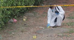 investigación