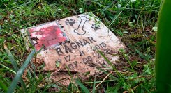 Cementerio de mascotas en el Táchira