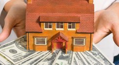 La variación del dólar presentada hasta la fecha aún no ha generado un impacto en detener la actividad del mercado. / Foto: Cortesía