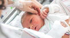 Día Mundial del Prematuro