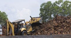 Diversificación de productos, la tarea pendiente para exportar más 