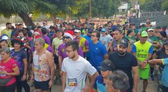 La Carrera de la Hayaca