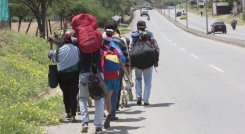 Crean App como hoja de ruta para refugiados y migrantes venezolanos. / Foto: Cortesía 