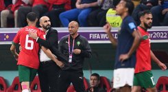 Walid Regregui, técnico de Marruecos. 