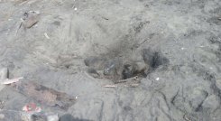 Encuentran cuerpo de mujer enterrado en el patio de una casa en Atlántico