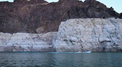 Comer un pescado de río en Estados Unidos equivale a beber agua contaminada durante un mes, según estudio