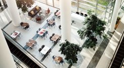 •	JLL (Jones Lang LaSalle), empresa global de servicios inmobiliarios comerciales revela algunas tendencias que prevalecerán en el mercado corporativo para el 2023.