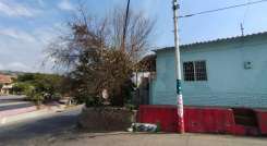 Pareja de adultos mayores denuncia la quema de su árbol