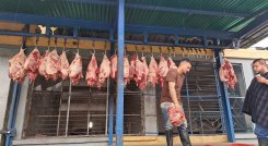 Exigen precio justo para el kilo de carne a puerta de corral . / Foto: Cortesía
