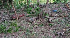 Inspección al campamento revela cómo fue el sangriento ataque del Eln en El Catatumbo