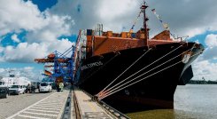 enero de 2023 las ventas externas del país fueron US$ 3.694,9