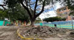 Obras de mantenimiento en parques de Cúcuta