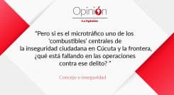 Concejo e inseguridad