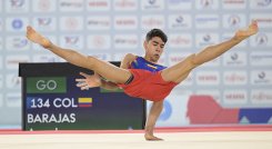 Ángel Barajas, gimnasta