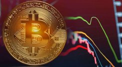 Criptomonedas resilientes: transacciones aumentan más del 37% en todo el mundo