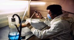 Pangenoma. / Foto: AFP