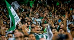 Colombia registra más de 350 muertes asociadas al fútbol.