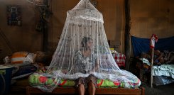 Perú, sumido en el peor brote de dengue de los últimos tiempos  