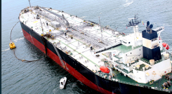  La exportación se hace por Coveñas, en el Caribe colombiano. / Foto: Cortesía