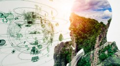 Desarrollo Sostenible 