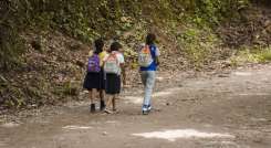 Del total de los afectados fueron 7.026 niños y jóvenes, 370 docentes y 89 de personal del sector educativo. / Foto Cortesía / La Opinión