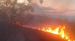Incendio El Zulia
