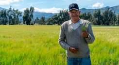 Bavaria tiene como objetivo integrar más agricultores a su cadena de valor. / Foto: Cortesía