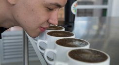 El buen catador desarrolla el olfato.