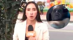 Acosador sexual 