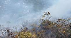 Preocupación existe entre las autoridades ambientales por la disminución del caudal del río Algodonal.