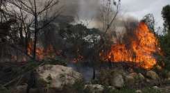 Hay más de 30 municipios de Norte en alerta roja por la amenaza de incendios en cobertura vegetal.